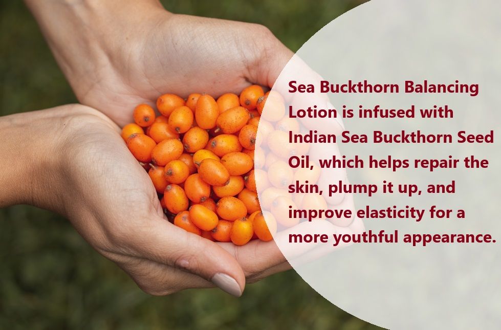 De Zeebuckthorn Balancing Lotion is doordrenkt met Indiase Zeebuckthornzaadolie, die helpt de huid te herstellen, op te vullen en de elasticiteit te verbeteren voor een jeugdiger uiterlijk.